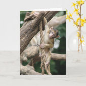 そこのこつ カード (黄色い花)