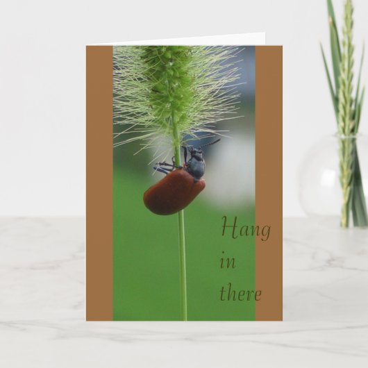 そこのこつ カード (正面)