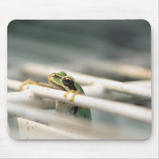 そこのこつ! マウスパッド