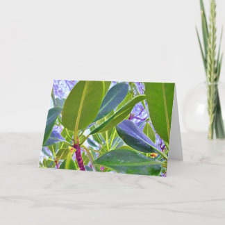 そこの叫び声は別のゴム製木行きます シーズンカード