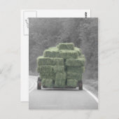 そこの干し草! ポストカード (正面/裏面)