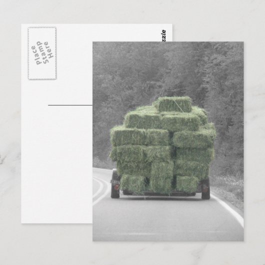 そこの干し草! ポストカード (正面/裏面)