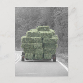 そこの干し草! ポストカード