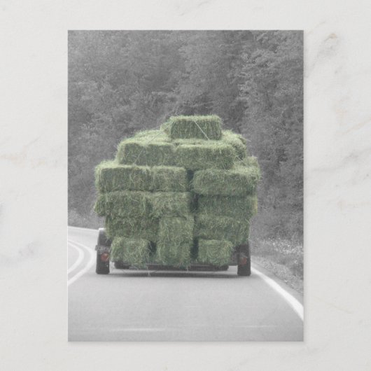 そこの干し草! ポストカード (正面)