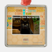 そこのHoomans Taekの毛皮か。 メタルオーナメント (正面)