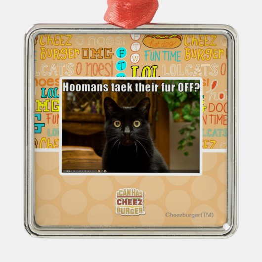 そこのHoomans Taekの毛皮か。 メタルオーナメント (正面)