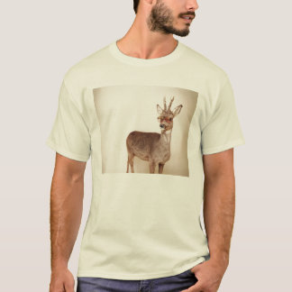 そしてありますか。 Tシャツ