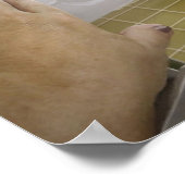 そしておもしろいバスルームの可愛い犬 ポスター (角)