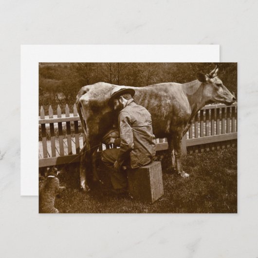 そしてニコデムスの猫は食べ物を与えウェイサイドの ポストカード (正面/裏面)