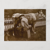 そしてニコデムスの猫は食べ物を与えウェイサイドの ポストカード (正面)