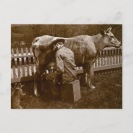 そしてニコデムスの猫は食べ物を与えウェイサイドの ポストカード