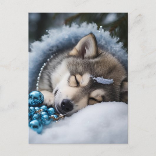 そして一晩中 ポストカード (正面)