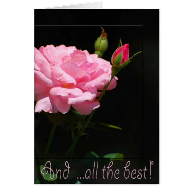 そして全最高のて (正面)