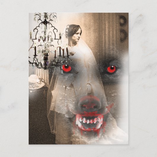 そして彼は月を見た ポストカード (正面)