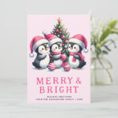 そして明メリーるいピンクのクリスマスペンギン シーズンカード (スタンド正面)