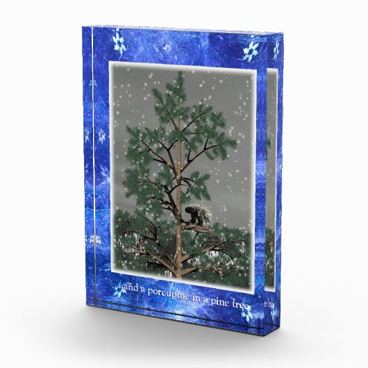 そして松の木に山嵐 フォトブロック (右)