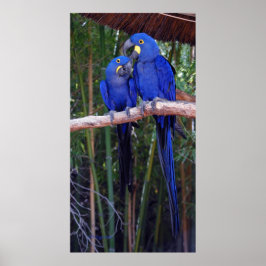 そして私は言った ポスター