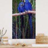 そして私は言った ポスター (キッチン)