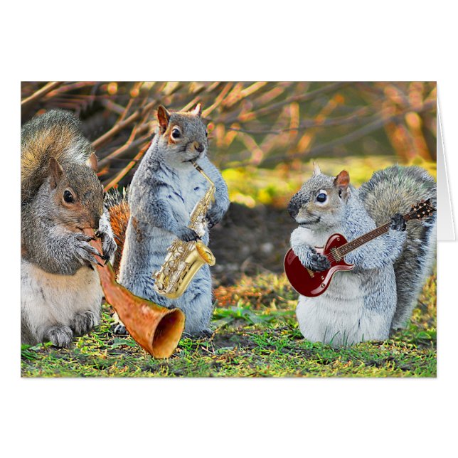 そして遊ばれるバンド (正面横)