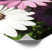 そして違うまだ美しい ポスター (角)