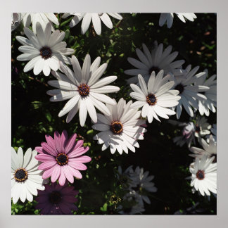 そして違うまだ美しい ポスター