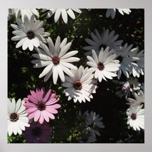 そして違うまだ美しい ポスター (正面)