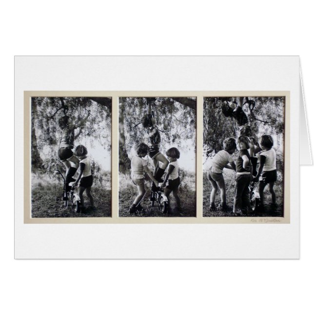 そして4が…ありました (正面横)