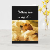 そっと近づくおもしろいな誕生日は犬を驚かしました カード (黄色い花)