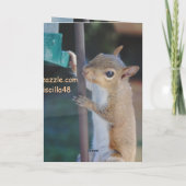 そつるこでリスがつる給餌器に乗った カード (裏面)