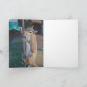 そつるこでリスがつる給餌器に乗った カード (内部)