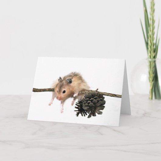 そつるのカード カード (正面)