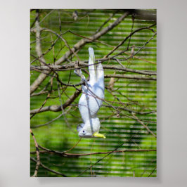 そつるの ポスター