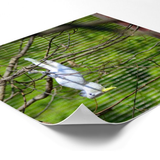 そつるの ポスター (角)