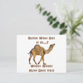 そのこぶ日 ポストカード (スタンド正面)