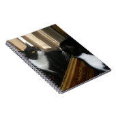 そのハンサムな人はだれですか。 ノートブック (右側)