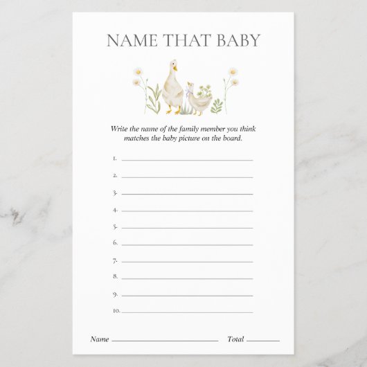 そのベビー間抜けグースベイビーシャワーゲームの名前 チラシ (正面)