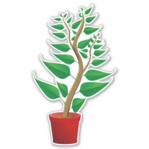 そのポットの緑背の高い植物 シール