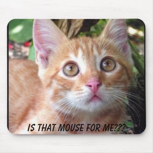 そのマウスは私のためですか。 マウスパッド (正面)