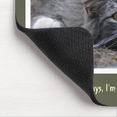 そのマウスパッドを得ることを行っているおもしろいな虎猫猫 マウスパッド (コーナー)