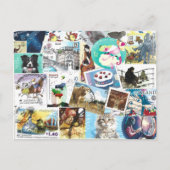 その他の切手はがき ポストカード (正面)