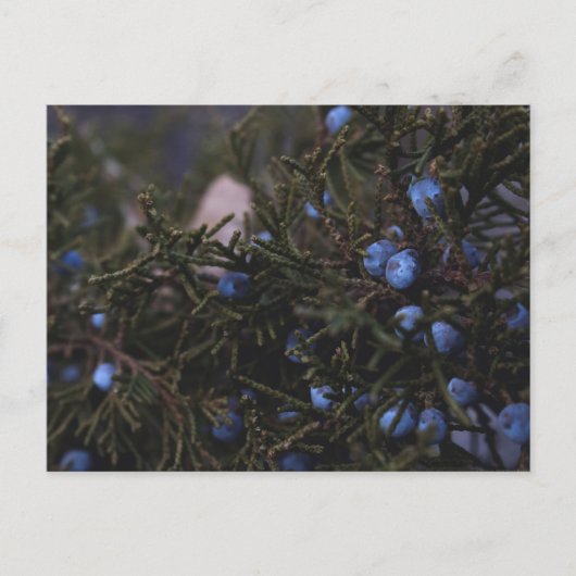 「その他の青い世界」 ポストカード (正面)