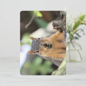 その作曲家 招待状 (スタンド正面)