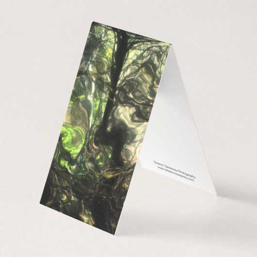 その夜マックスの部屋で森が広がり成長した (正面)