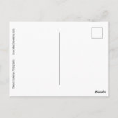 その夜マックスの部屋で森が広がり成長した ポストカード (裏面)