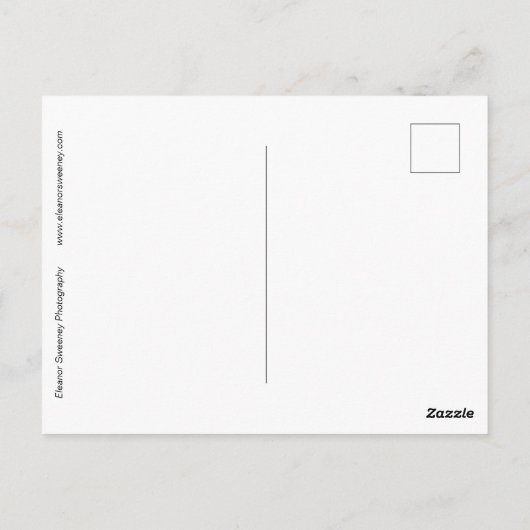 その夜マックスの部屋で森が広がり成長した ポストカード (裏面)