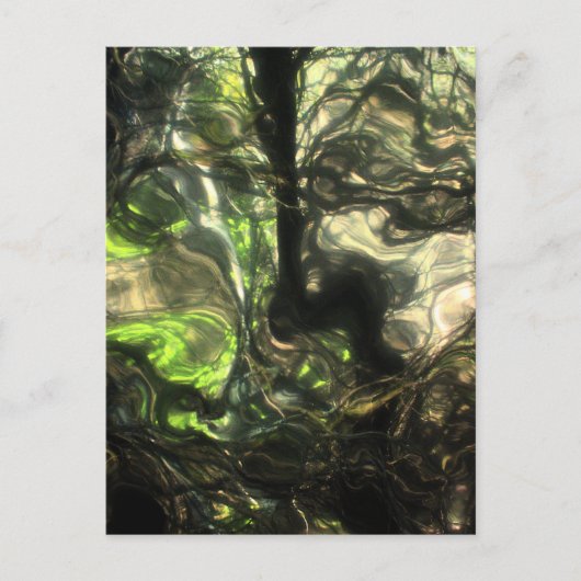 その夜マックスの部屋で森が広がり成長した ポストカード (正面)