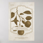 その後、それはフルーツV3ポスターを負担する ポスター (正面)