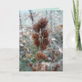 その後 カード (正面)