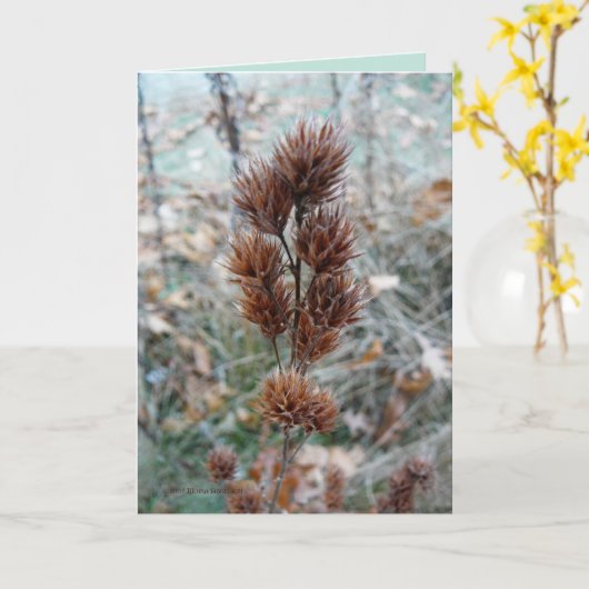 その後 カード (黄色い花)