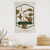 その後、果実V2が生じる ポスター (キッチン)